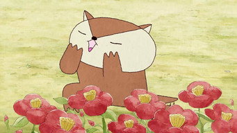 Miru Miru (2017-2016)
