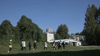 Green Concrete (2026)