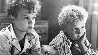 Father Needs a Wife (1952)