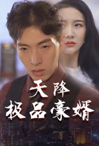 天降极品豪婿 poster