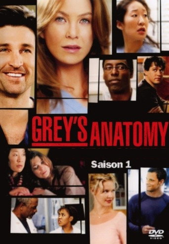 Grey's Anatomy - S1 - Poster