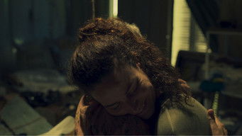 Galeria 2 - La pecera