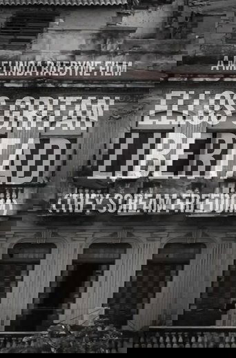 Ellos Gritan Libertad: They Scream Freedom