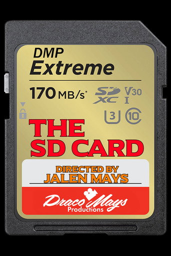 The SD Card (2024)