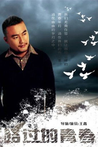 路过的青春 poster