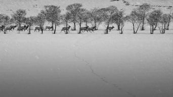 Galeria 3 - 24 cuadros