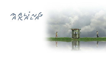 Хибне уявлення (2007)