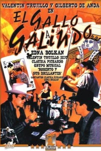 El gallo galindo