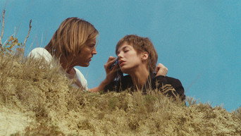 Я тебе кохаю, я тебе теж ні (1976)