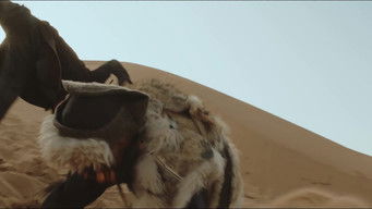 Aflevering 14 — Trapped in Gutongjing