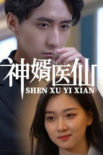神婿医仙 poster