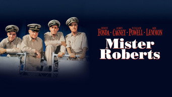 #5 Пан Робертс