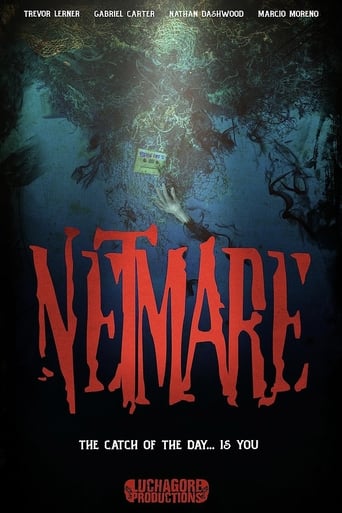 Poster of Netmare