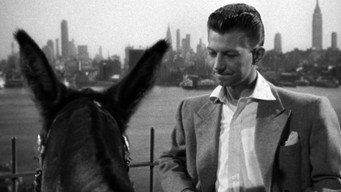 Francis Covers the Big Town (1953)