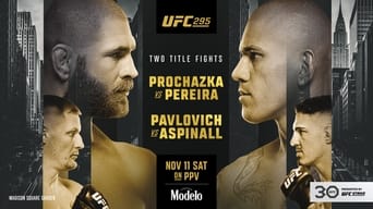 #4 UFC 295: Prochazka vs. Pereira