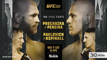 UFC 295: Prochazka vs. Pereira (2023)