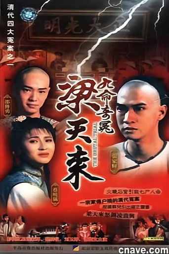 九命奇冤梁天来 poster