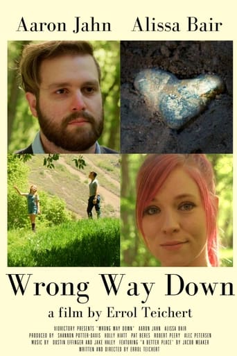 Poster of Wrong Way Down