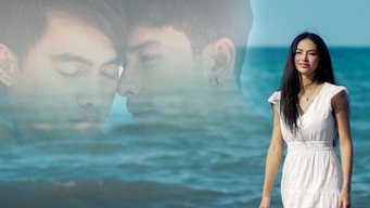 Sisid media image