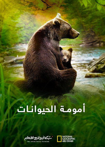 أمومة الحيوانات
