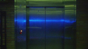 #15 Signal 8