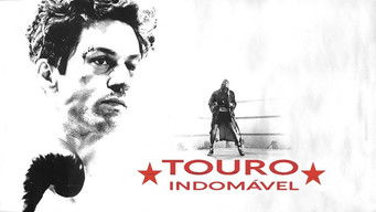 Cena de Touro Indomável