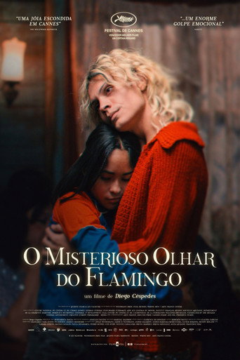 O Misterioso Olhar do Flamingo