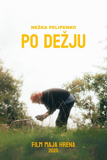 Po Dežju