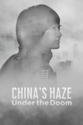 China's Haze: Under the Doom (2015)