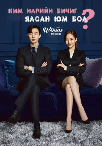 What's Wrong with Secretary Kim — Posters 13