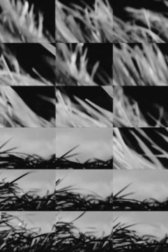 I Can Feel It Coming poster