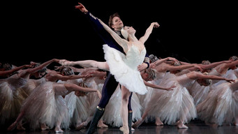 Swan Lake (2015)
