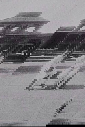 Wonderful Temples of India (1916) Wonderful Temples of India (1916)