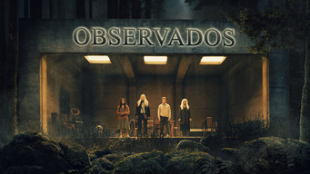 Galeria 5 - Los vigilantes