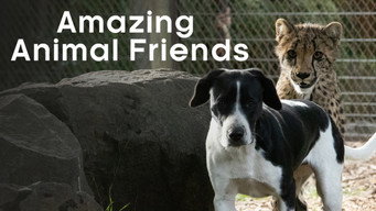 Amazing Animal Friends (2020- )