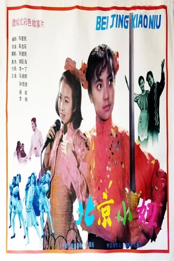 Poster of 北京小妞