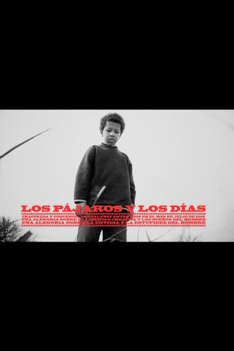 Los pájaros y los días poster