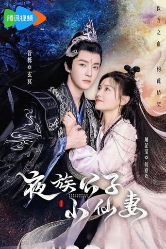 Poster of 夜族公子小仙妻