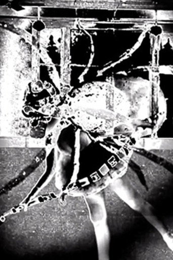 Nine Inch Nails: Came Back Haunted