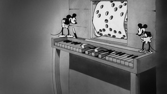 #6 When the Cat's Away
