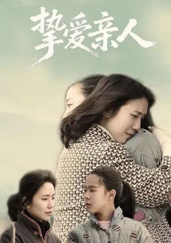 挚爱亲人 poster