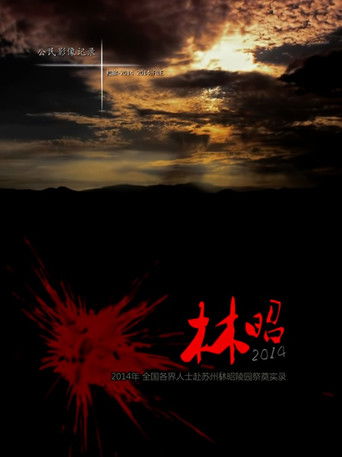 林昭 2014 poster