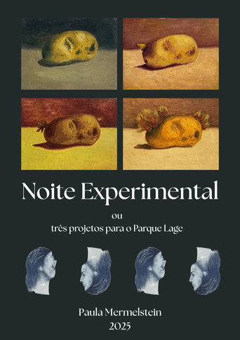 Noite Experimental poster