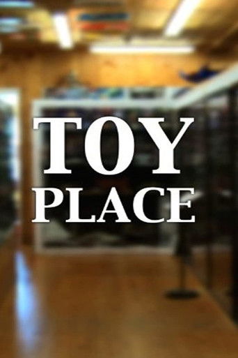 Toy Place poster