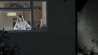Dust (2013)