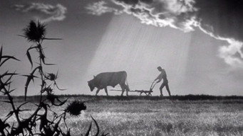 Блазневі хроніки (1964)