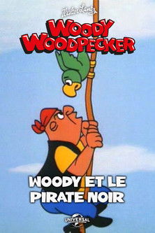Woody et le pirate noir
