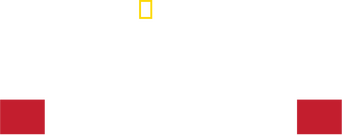 Apocalypse: World War I logo