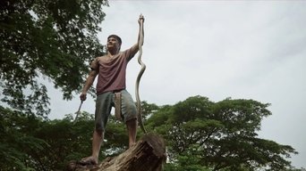 Episode 13
