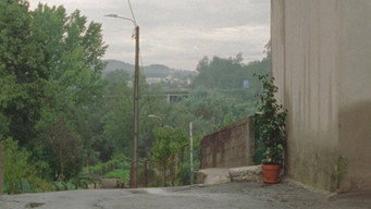 Cena 10 de Campos Belos